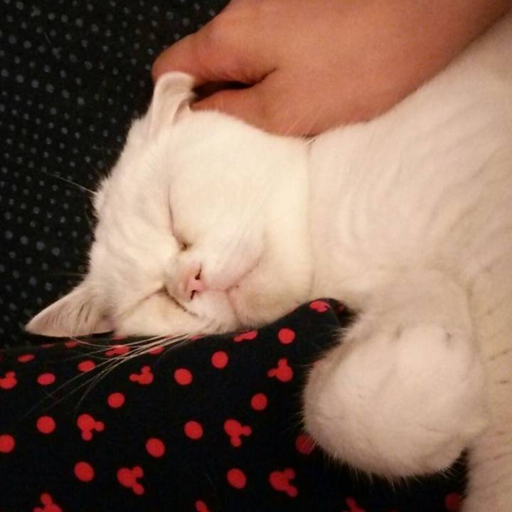 671f6483 19fd 4234 865e d19410e90d79 1539960853390