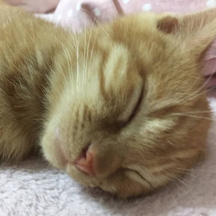 671f65d5 503e 42fa bf00 d7bd6534f975 1510748234619