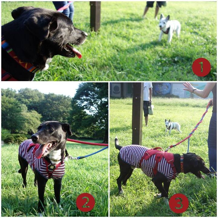 671f94e6 047c 4d86 bd9d ee7c1df8bbfa 1597532863498