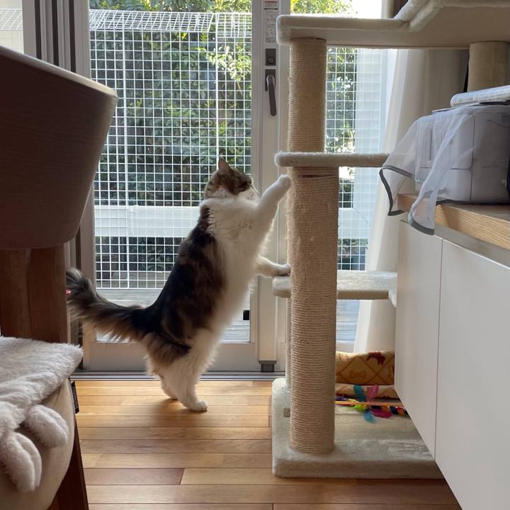 671f9a67 0b55 4a36 9f99 cb853907c835 1668647016983