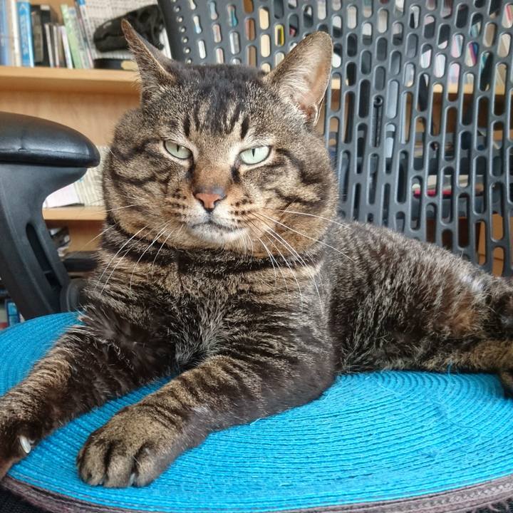 671fecc4 4310 4ec2 bc0d e45458177bd7 1528084691293