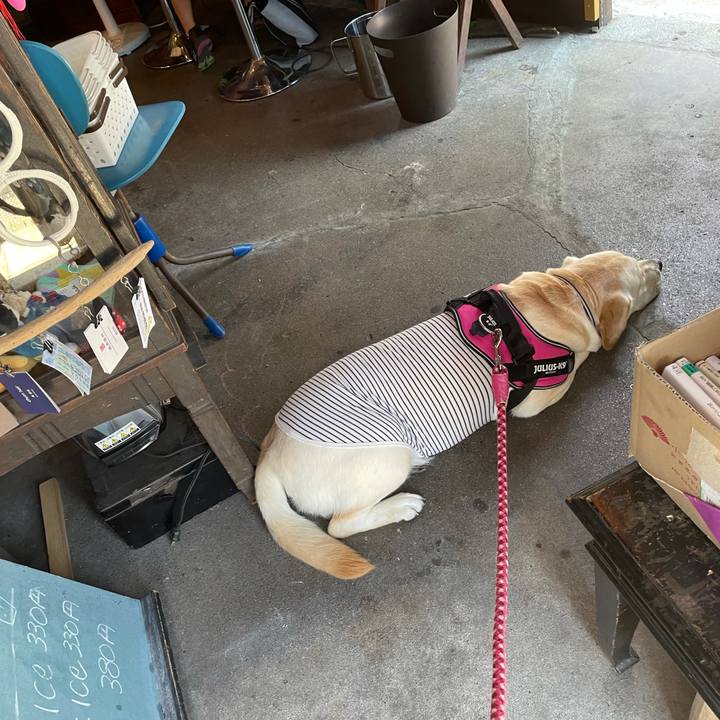 672006eb 896e 4f30 a81d 2560d0c9ae7a 1628143214037