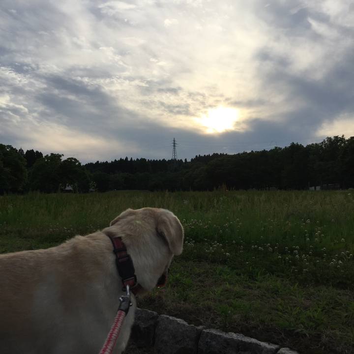 67206f1c a431 4f7a 9f14 d9f8934ca286 1529401299458