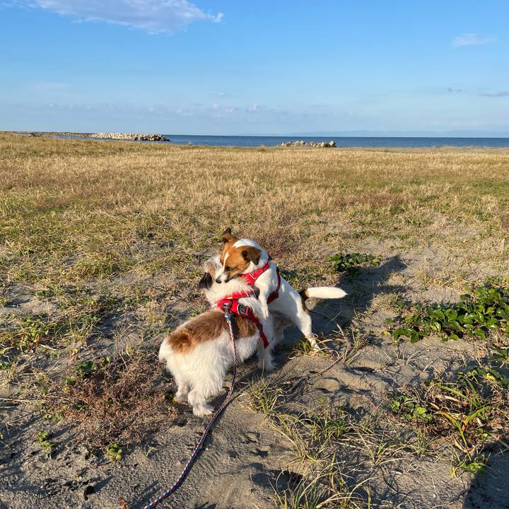 6720aa2a 97f8 46a9 a2a7 f6a68b494a15 1666394124391