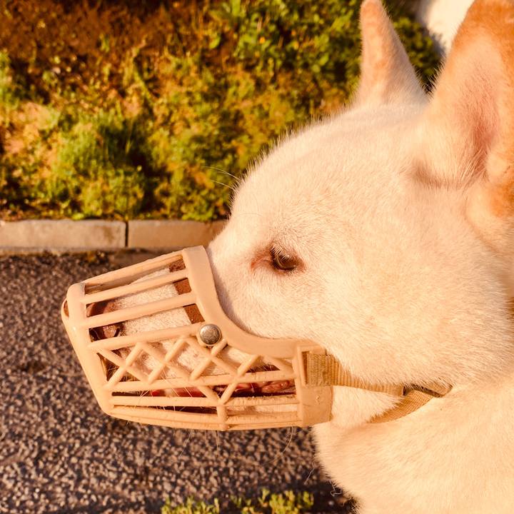 6720dc33 0888 4e06 af97 6ee856a0e33a 1600724972166