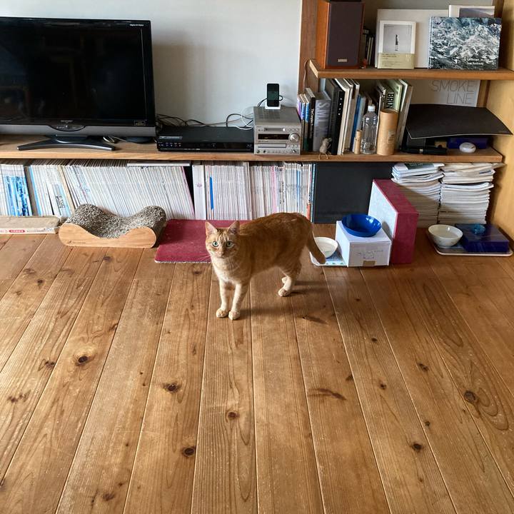 672109bc 833e 48b6 b939 f53acb61a426 1631055433846