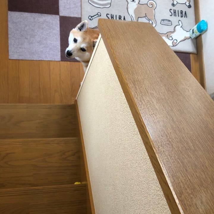 67212dd5 c545 44c7 b734 f40a789ba7d8 1590497317532