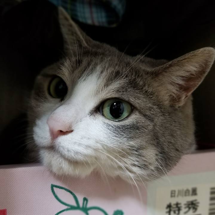 67213c8f b561 49d6 bc14 3d6bfccd7c46 1628602536761