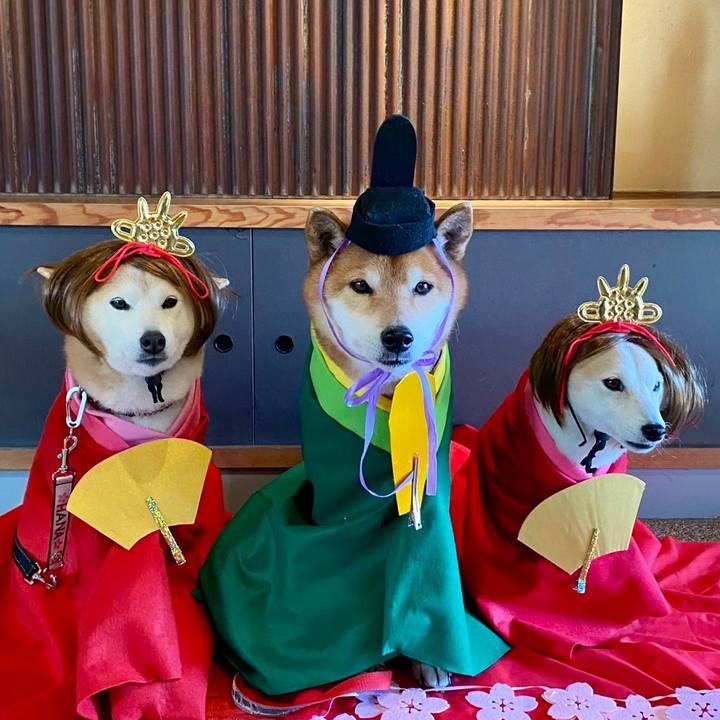 6721b994 03fe 452f 90d8 b5b5c1ced489 1740357227988