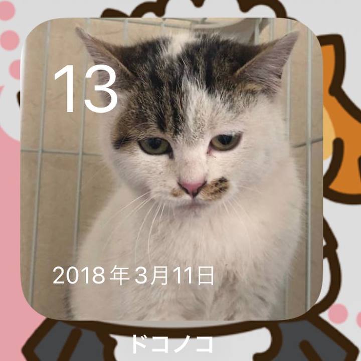 6721d0bd 3d73 4c40 b139 b7e4539bf4bb 1647127046470