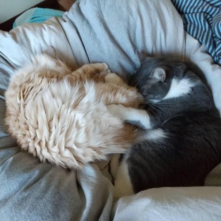 6721da31 3489 4ea6 acbb cf2800e3130e 1646523983941