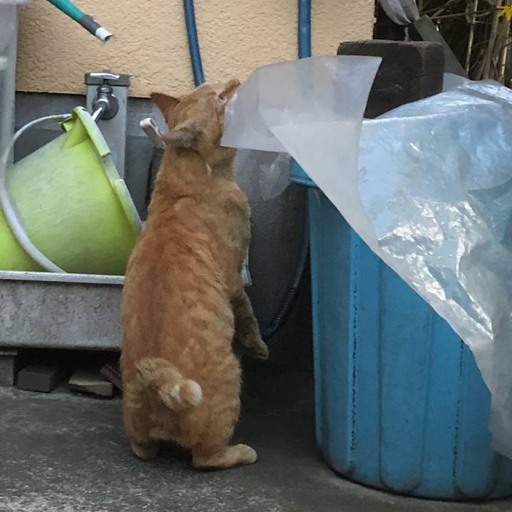 6721ddd4 9dc7 4527 b836 9a48f971eb99 1522009709427