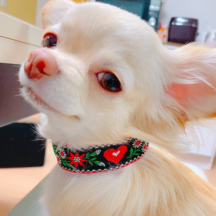 6721ee1d 5f08 42ca 8f63 bfccc91652e4 1622812073077