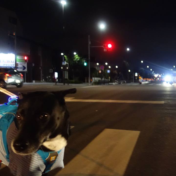 6721f76a c606 4fd9 ba32 0856552afb0e 1670324851389