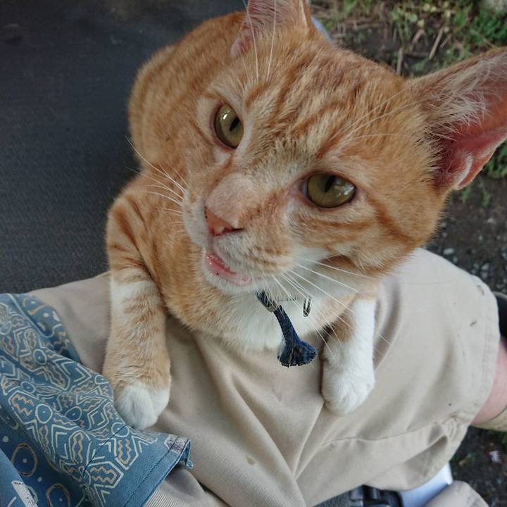 672205c6 bd6a 4ae9 832f 8e0782891494 1564305365159