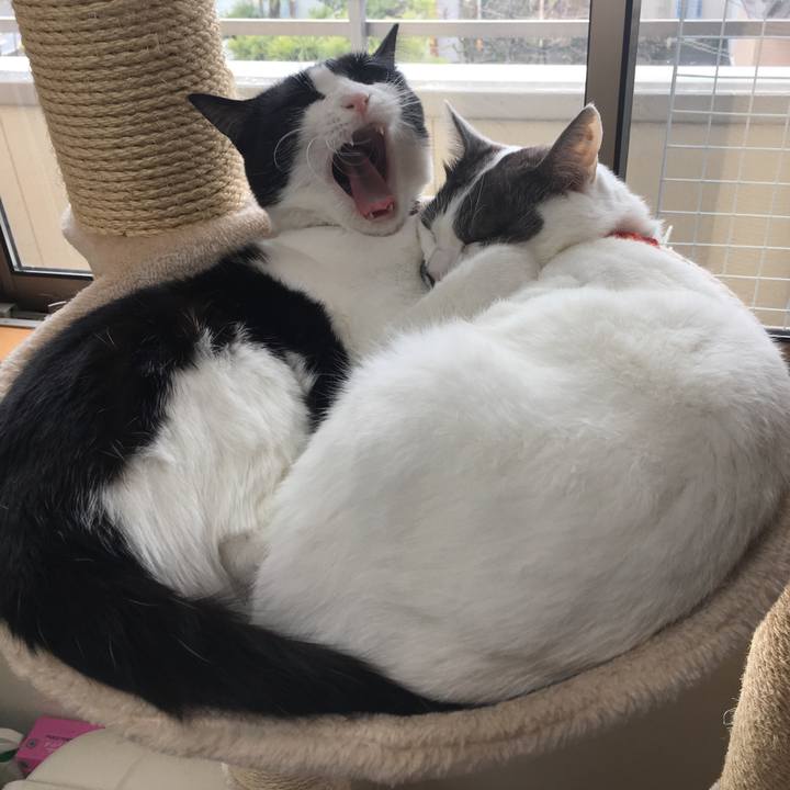 67220c8f daa5 42a1 9fee 1b4d8f15388e 1520477421817