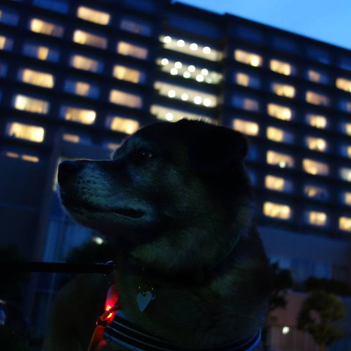 6722a0ef 5d97 4192 a4a3 5fda352dae59 1526812507714