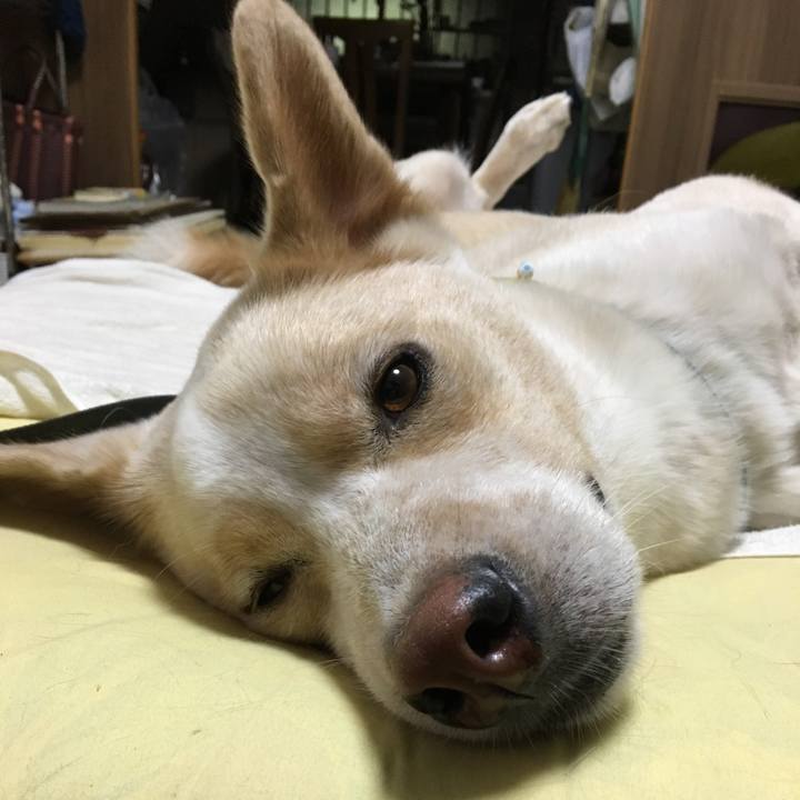 6722bf2c fd16 4a64 9942 3c11004bc3fd 1530359761361