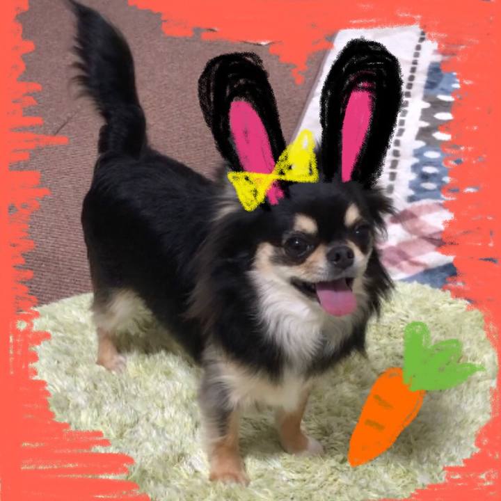 6722cecf aeac 49e3 8801 f068534aeb2d 1583769748255