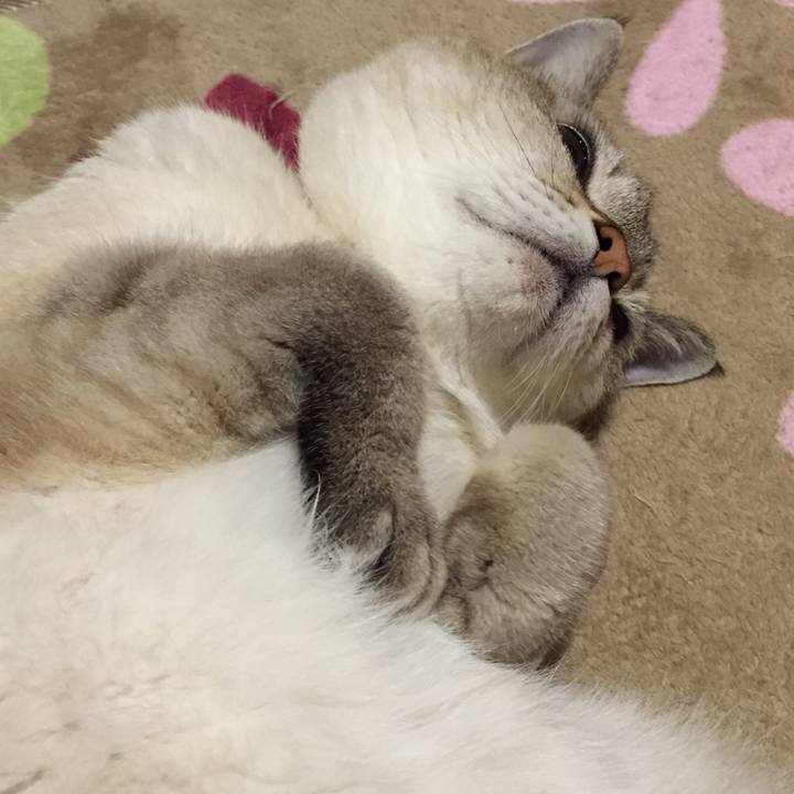 6722ea25 af40 4b72 b488 d36db6ee720a 1541416560394