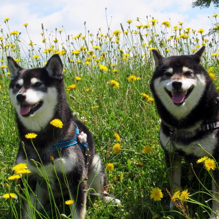 672361ae e2d6 418d 8f45 13d8bc1895d6 1590723979760