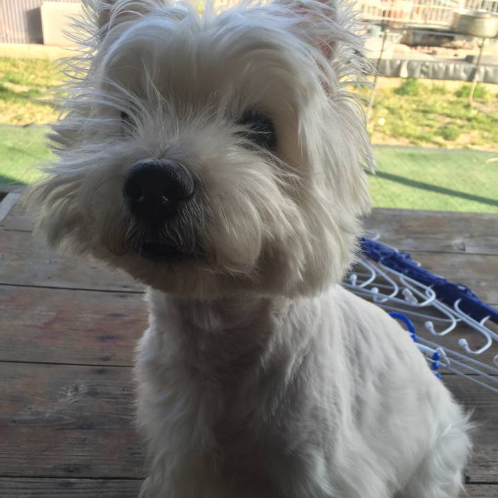 6723bcf0 6f51 4b06 91c3 2b48ca76782d 1523606522877