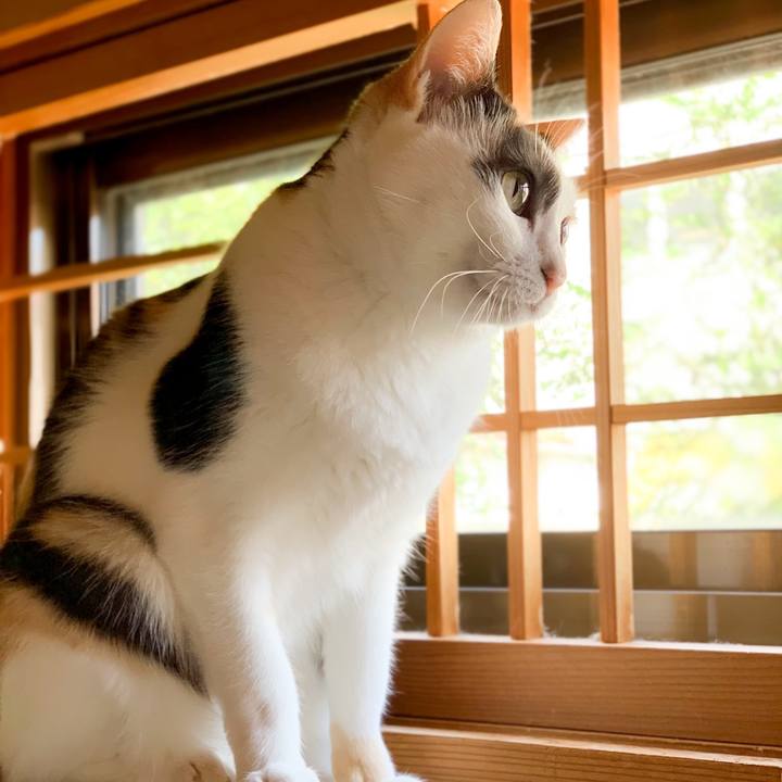 6723c4ff 79cc 42ce 85d3 ec48b26973a3 1539313721225