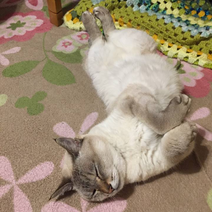 6723f465 9284 4fcd 8020 7abe428e3952 1576705076630