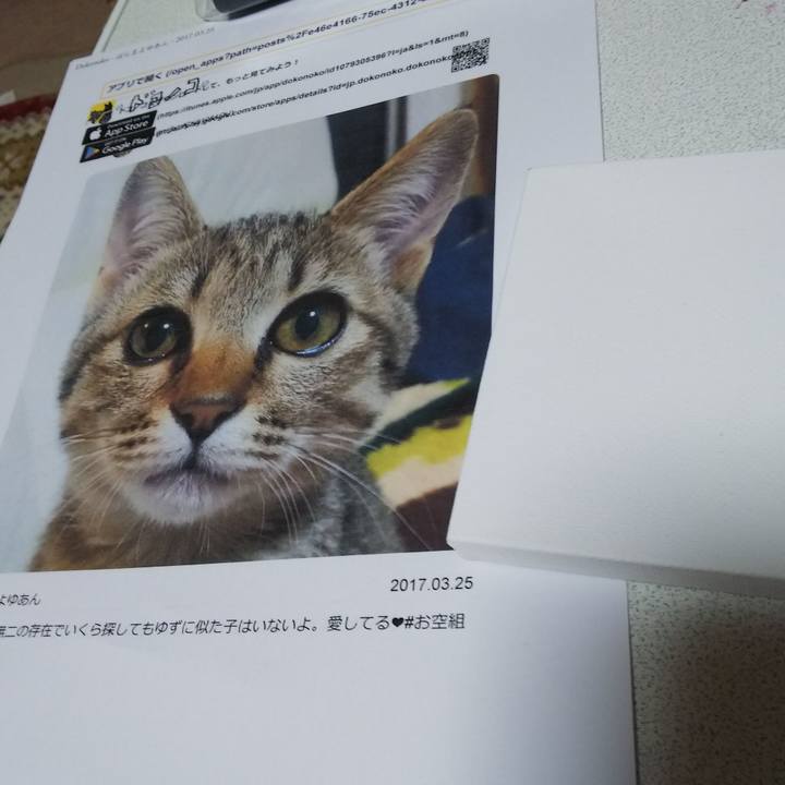 67240276 b4cf 4057 8fd4 8631a130dc7d 1549858573335