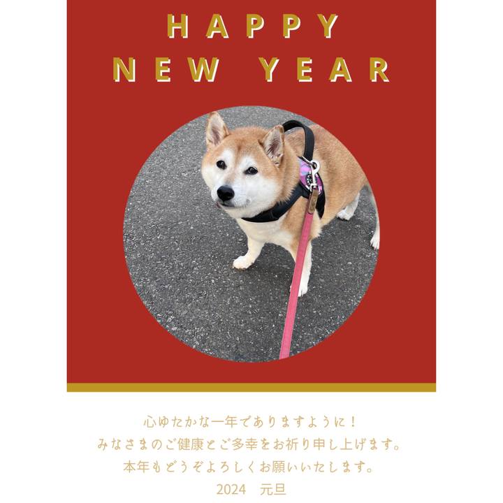 67242b37 467a 4f85 ad6f 2d2a66fea833 1704142398528