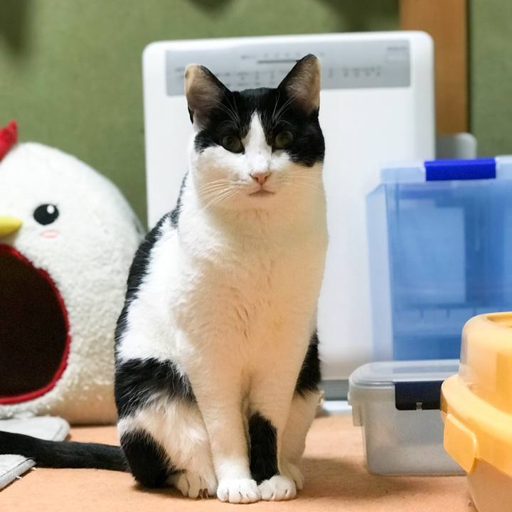 67243be5 20b0 4346 90b0 987543b4006a 1517132315860