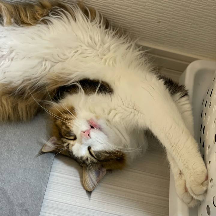 672490e0 927e 4229 9f62 4e1d87ca0b44 1650886583934