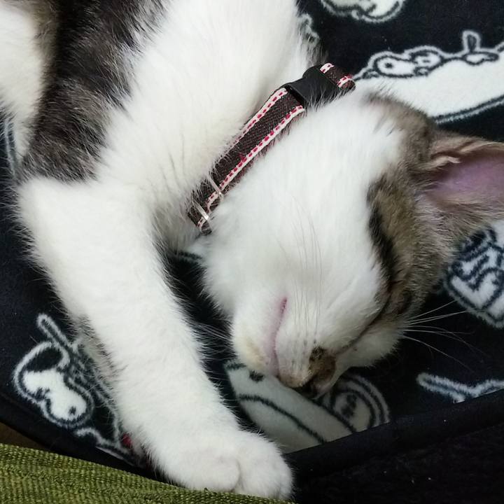 6724c52b 524c 4f0d b15e d9c7498a1fd8 1609851851169