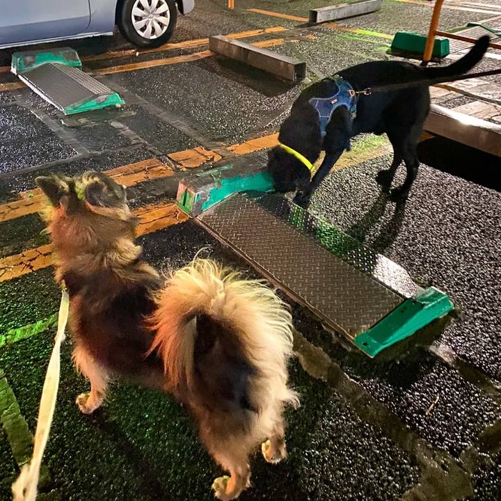 6724e5bf fec9 4164 899e 11fb1f66a995 1761311080981