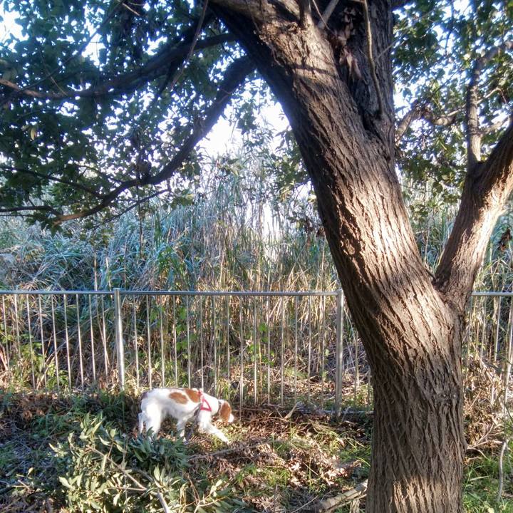 6724ed2c 2a25 46a2 bf1d 80e476205c74 1540776116007