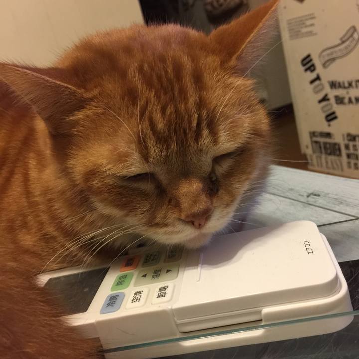 67252608 48d2 456e acb1 b79c400bb27f 1549547885363