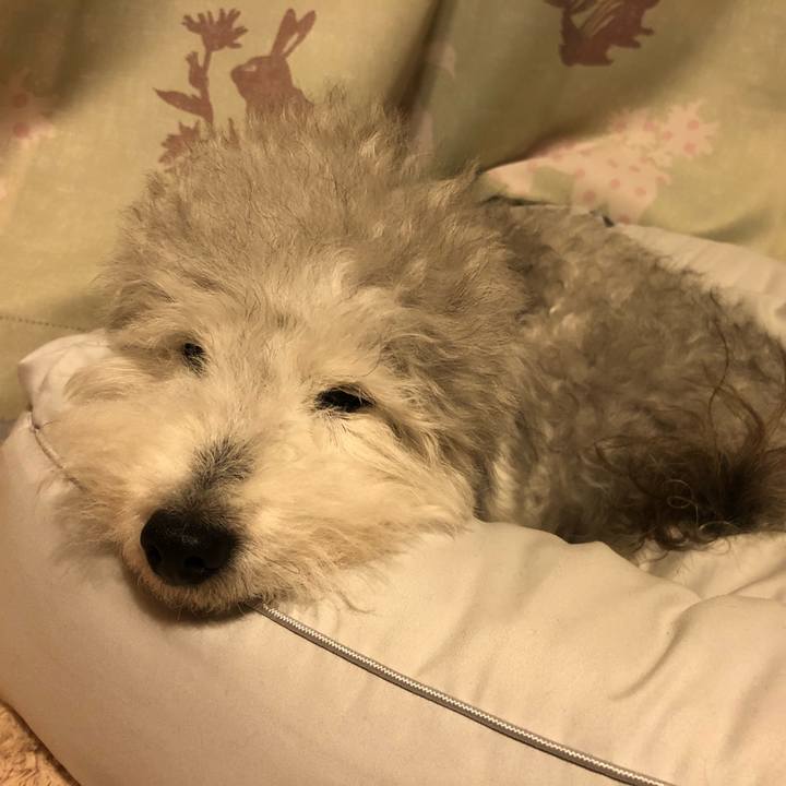 67253a14 8100 4538 bba0 7caf65ef74f1 1621686847808