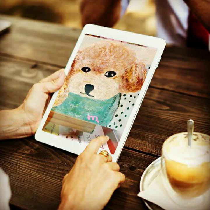 67254ce2 a8c1 4ff1 899d 683477034828 1507779500060