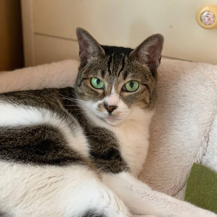 67256009 e1f7 4540 900c 1b66c9dac108 1569890429725