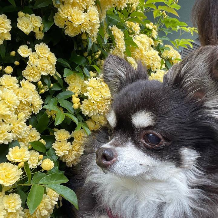 6725629e e4ba 4d79 b9d9 2ff6cab5d59a 1650287273665