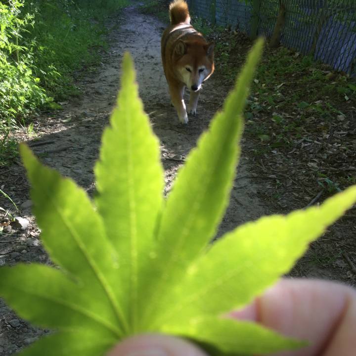 67257b32 97ab 4979 81dc e77f7832ec5a 1619438518672