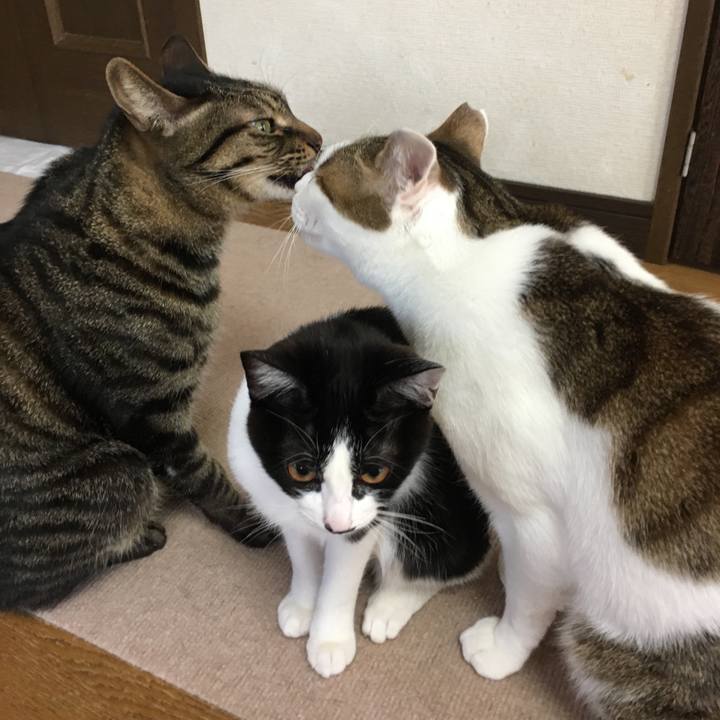 6725893f a66b 43a1 8193 330bd9a12d63 1580902570227