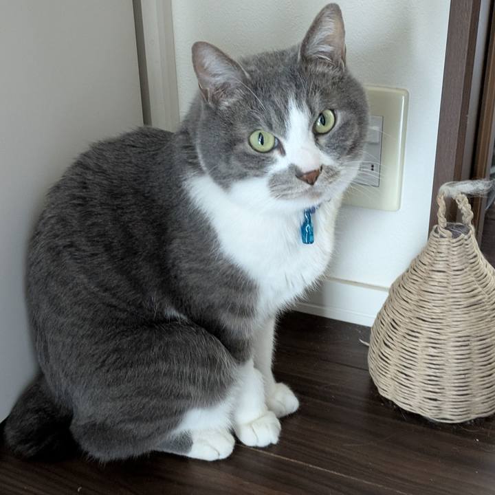 67259ba8 bb47 4d73 9283 c9d47e8493ef 1773801084888