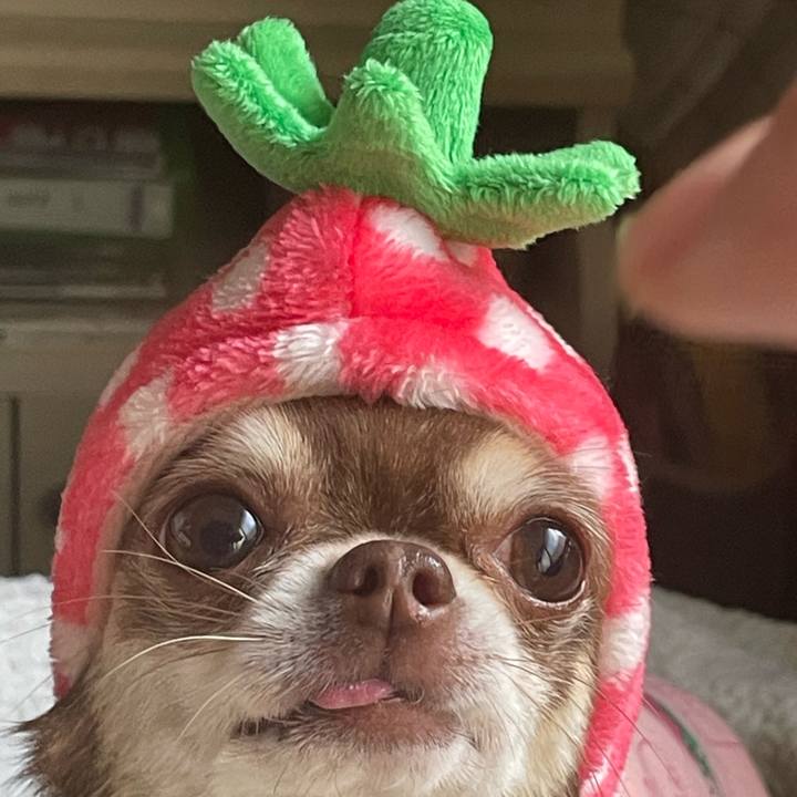 67259dde 5756 4f4e ad3e 759cb0e09dea 1704421381148