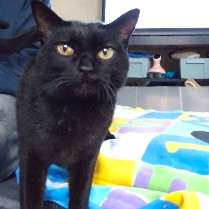 6725cbb1 d00f 4738 8596 756cad5a9b9f 1676709596680