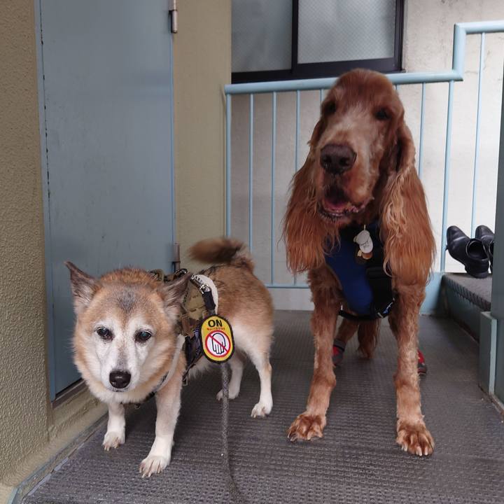 6725e40d 3076 4c8d a64a b2aa5eafe629 1713012453973