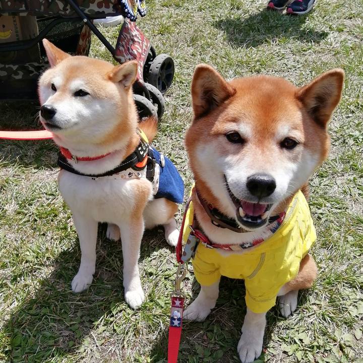 6725fe93 5231 48b8 a1c9 b78c0d83204f 1682479987418