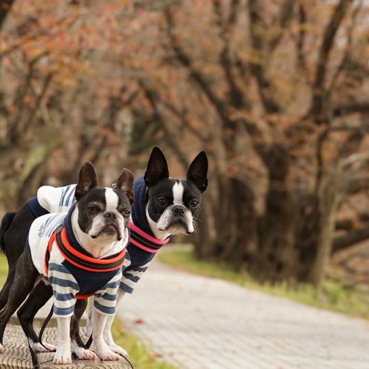 67264862 03ea 49c3 8b07 3edf242b8833 1511681327582