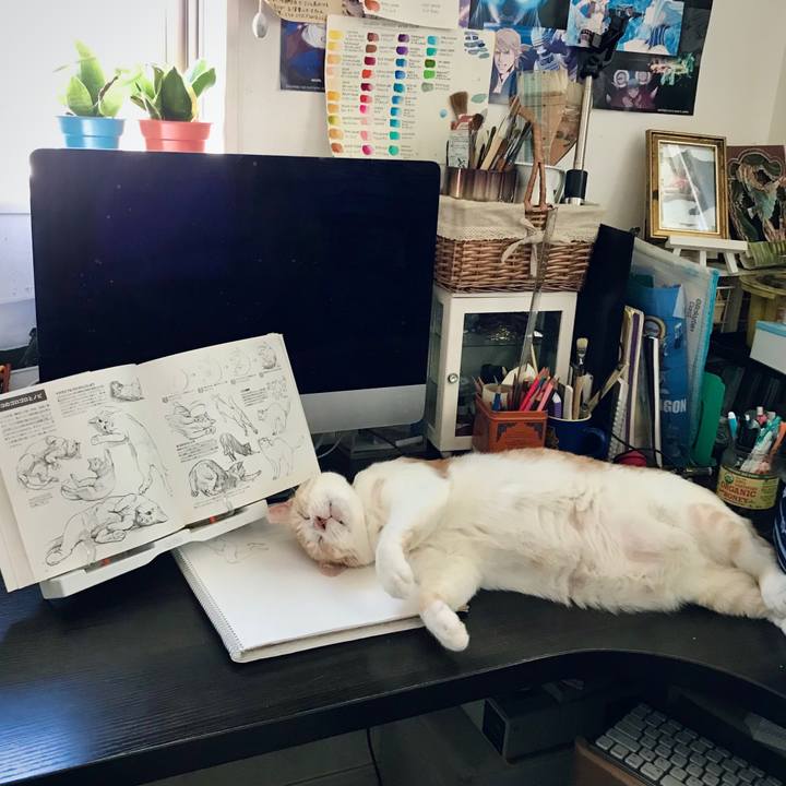 67265573 74b2 4dfa 8cf7 f5a62b27a154 1632034503016