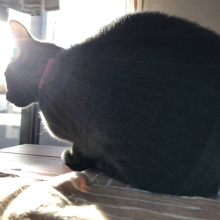 6726802b 314e 4cbd 9c62 b0eeb6386373 1512274738947